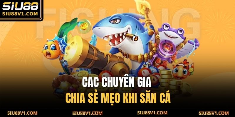 Các chuyên gia chia sẻ mẹo khi săn cá