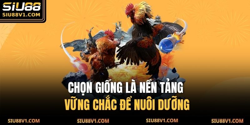 Chọn giống là nền tảng vững chắc để nuôi dưỡng