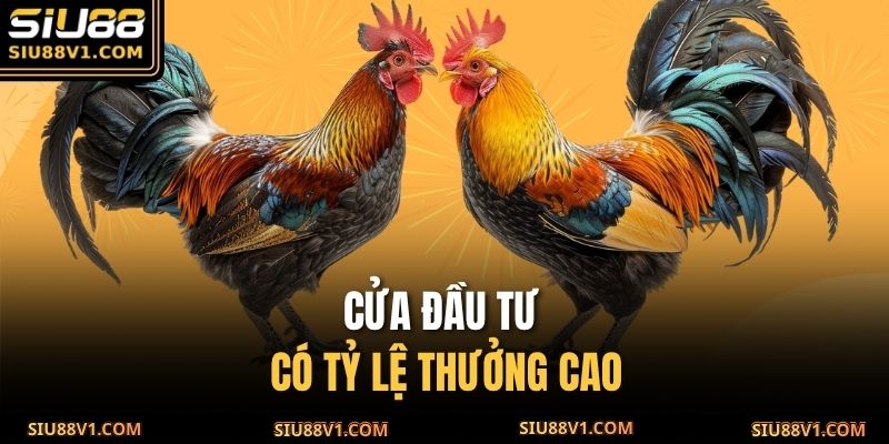Cửa đầu tư có tỷ lệ thưởng cao