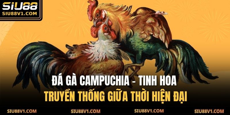 Đá gà Campuchia