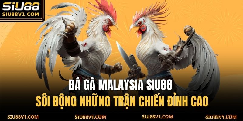 đá gà Malaysia SIU88