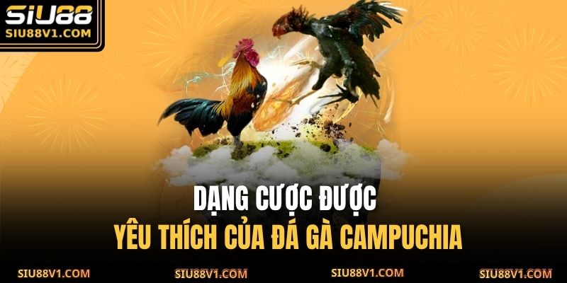 Dạng cược được yêu thích của đá gà Campuchia