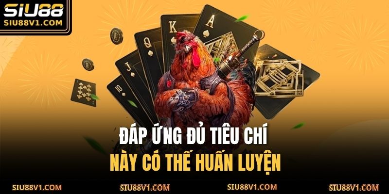 Đáp ứng đủ tiêu chí này có thế huấn luyện