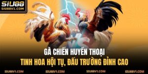 Gà Chiến Huyền Thoại - Tinh Hoa Hội Tụ, Đấu Trường Đỉnh Cao 16 gà chiến huyền thoại