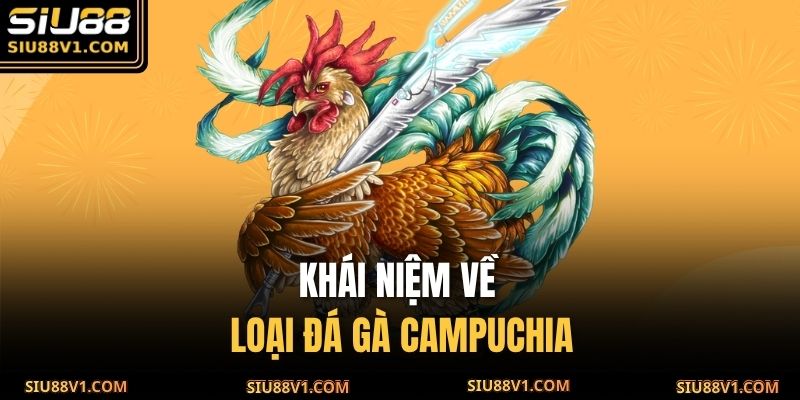Khái niệm về loại đá gà Campuchia