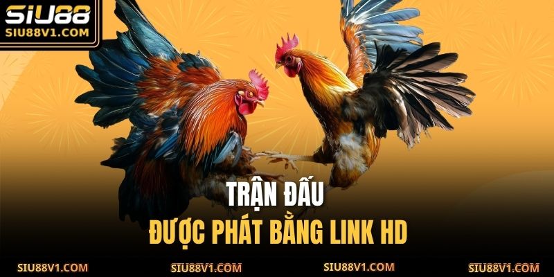 Trận đấu được phát bằng link HD